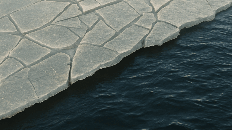 What is forex trading & why HNWIs are tapping in